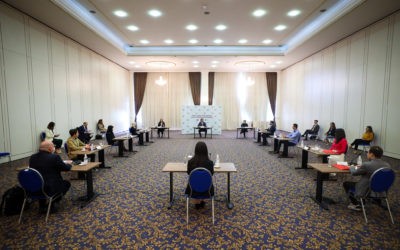 Simulation of a Security Council session, organized by the Presidential Center for Political Education