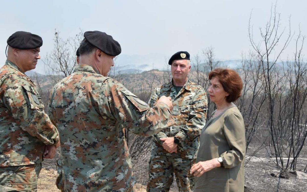 Армијата во координација со ЦУК и со помош од пријателски земји ја продолжува борбата со огнената стихија во неготинско