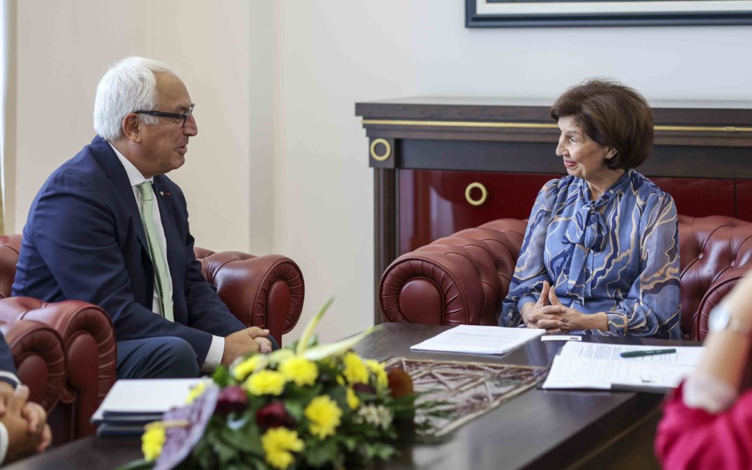 President Siljanovska Davkova receives the Director of the European Public Law Organization, Spyridon Flogaitis