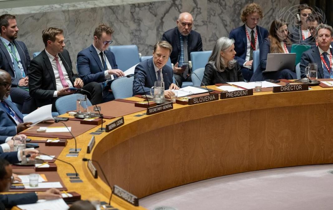 President Siljanovska Davkova at a UN Security Council debate and at a meeting of the Global Coalition to Address Synthetic Drug Threats