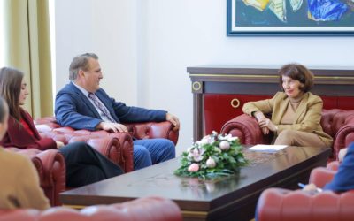 President Siljanovska-Davkova receives Stojan Nikolov, Vice President of the United Macedonian Diaspora