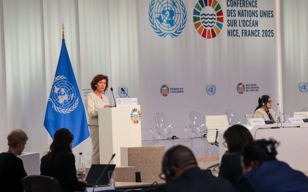 Siljanovska-Davkova: The UN exists to build peace not only between nations, but also with nature